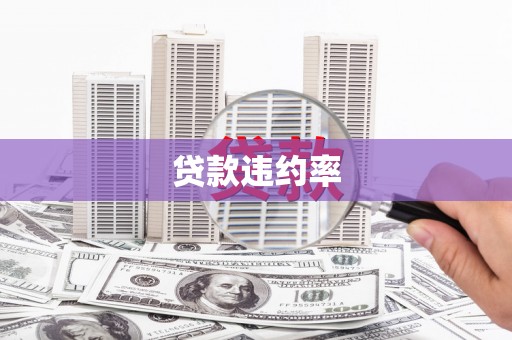 兴文贷款违约率