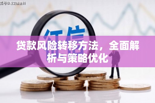 兴文贷款风险转移方法，全面解析与策略优化