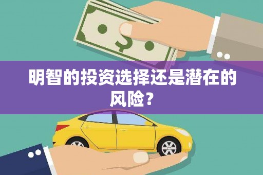 兴文明智的投资选择还是潜在的风险？