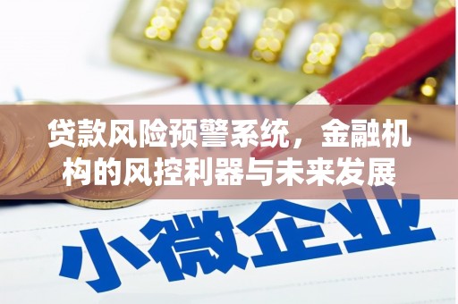 兴文贷款风险预警系统，金融机构的风控利器与未来发展