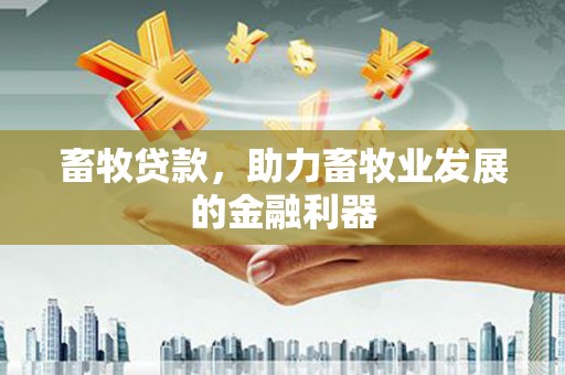 兴文畜牧贷款，助力畜牧业发展的金融利器