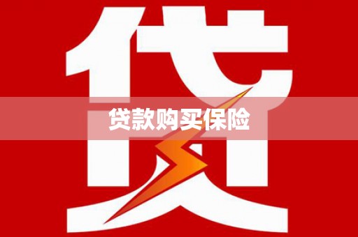 兴文贷款购买保险