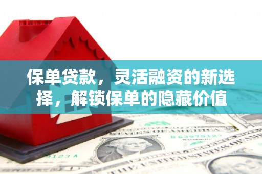 兴文保单贷款，灵活融资的新选择，解锁保单的隐藏价值