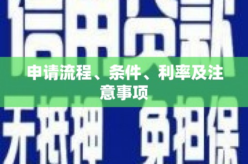 兴文申请流程、条件、利率及注意事项