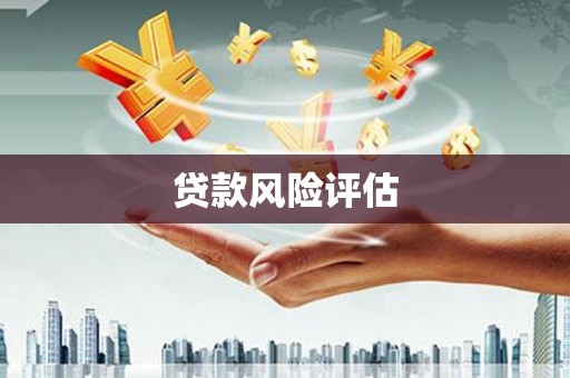 兴文贷款风险评估