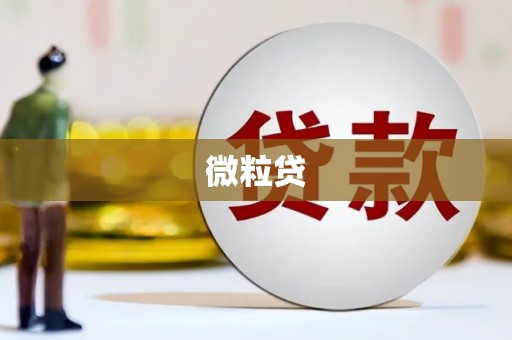 兴文微粒贷