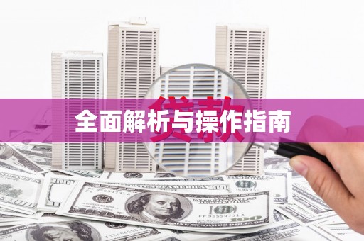 兴文全面解析与操作指南