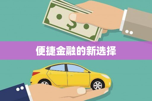 兴文便捷金融的新选择