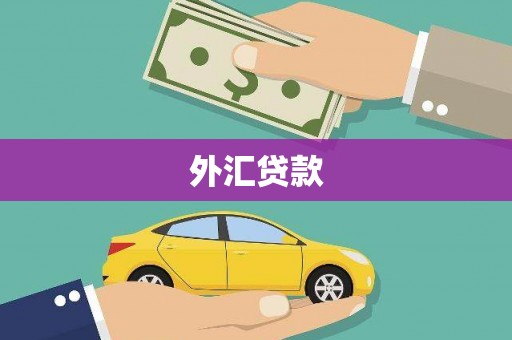 兴文外汇贷款