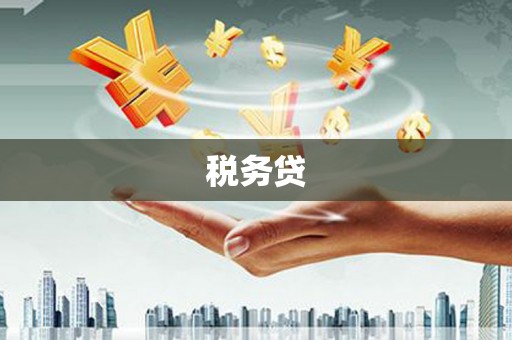 兴文税务贷