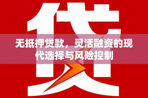 兴文无抵押贷款，灵活融资的现代选择与风险控制