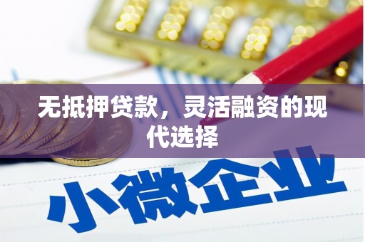 兴文无抵押贷款，灵活融资的现代选择