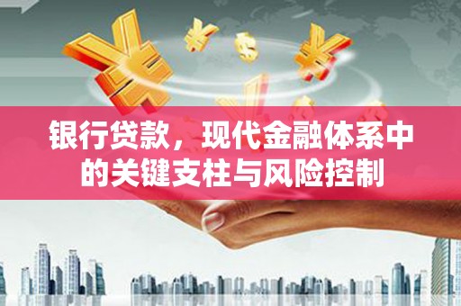 兴文银行贷款，现代金融体系中的关键支柱与风险控制