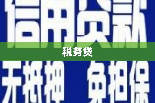 兴文税务贷