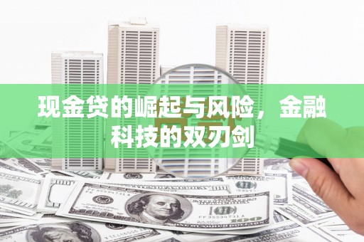 兴文现金贷的崛起与风险，金融科技的双刃剑