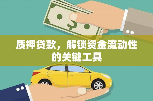 兴文质押贷款，解锁资金流动性的关键工具