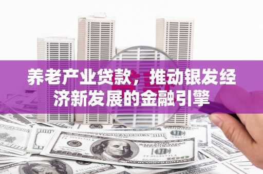 兴文养老产业贷款，推动银发经济新发展的金融引擎