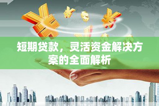 兴文短期贷款，灵活资金解决方案的全面解析