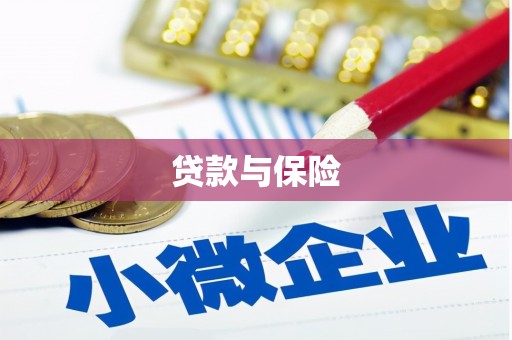 兴文贷款与保险