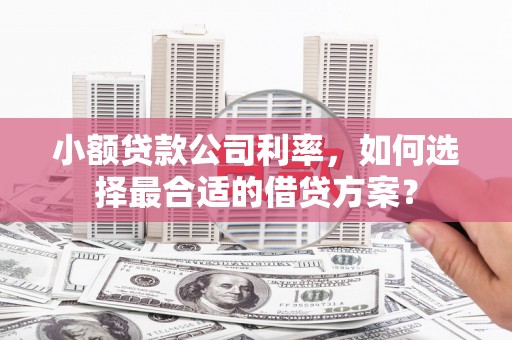兴文小额贷款公司利率，如何选择最合适的借贷方案？