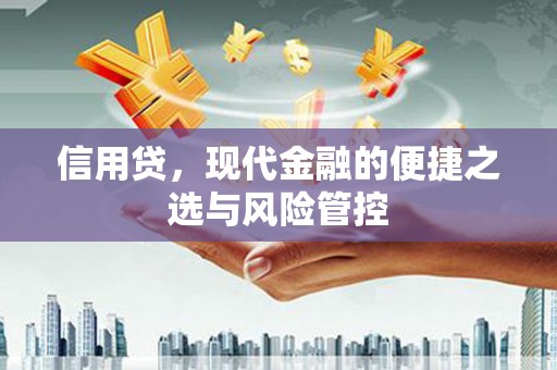 兴文信用贷，现代金融的便捷之选与风险管控