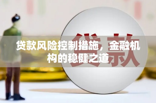 兴文贷款风险控制措施，金融机构的稳健之道