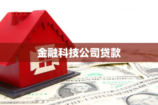 兴文金融科技公司贷款