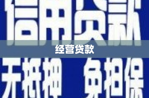 兴文经营贷款