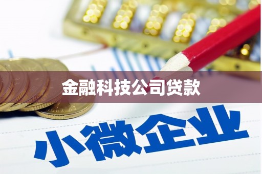 兴文金融科技公司贷款