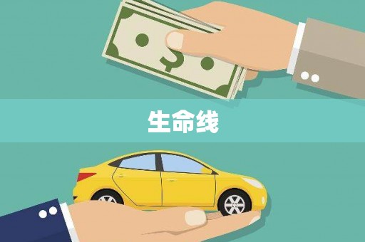 兴文生命线