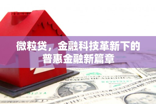 兴文微粒贷，金融科技革新下的普惠金融新篇章