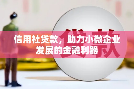 兴文信用社贷款，助力小微企业发展的金融利器