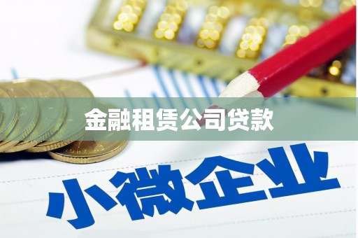 兴文金融租赁公司贷款