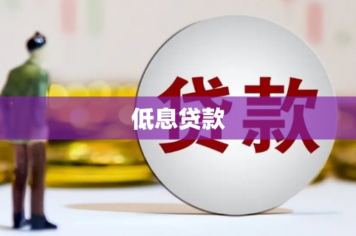 兴文低息贷款