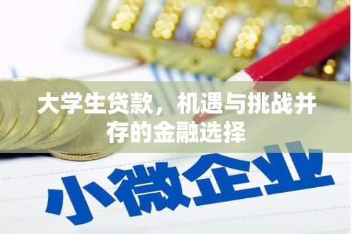 兴文大学生贷款，机遇与挑战并存的金融选择