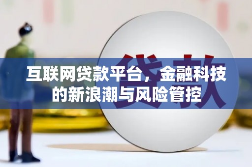 兴文互联网贷款平台，金融科技的新浪潮与风险管控