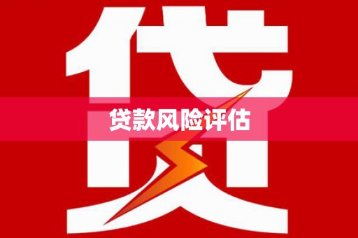 兴文贷款风险评估