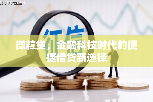 兴文微粒贷，金融科技时代的便捷借贷新选择