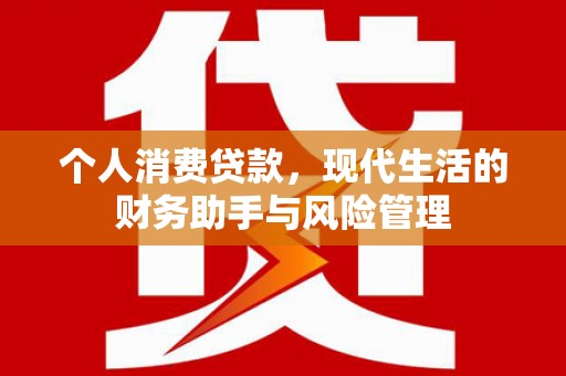 兴文个人消费贷款，现代生活的财务助手与风险管理