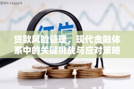 兴文贷款风险管理，现代金融体系中的关键挑战与应对策略