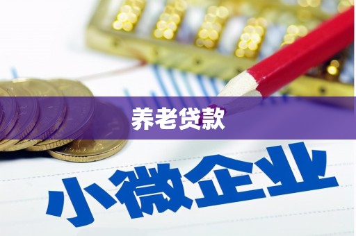 兴文养老贷款