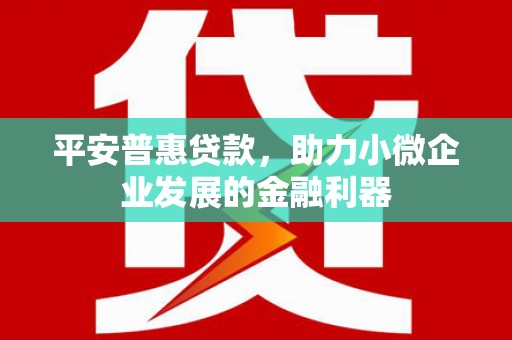 兴文平安普惠贷款，助力小微企业发展的金融利器