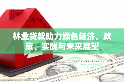 兴文林业贷款助力绿色经济，政策、实践与未来展望