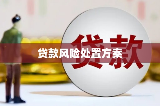 兴文贷款风险处置方案