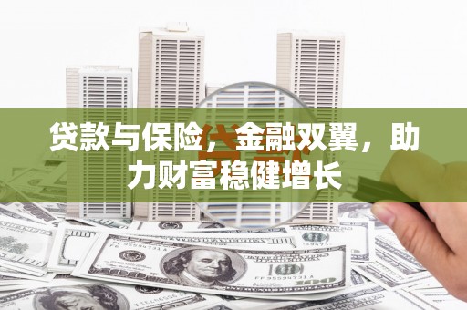 兴文贷款与保险，金融双翼，助力财富稳健增长