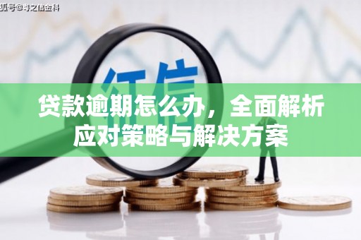兴文贷款逾期怎么办，全面解析应对策略与解决方案