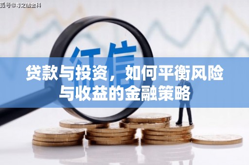 兴文贷款与投资，如何平衡风险与收益的金融策略