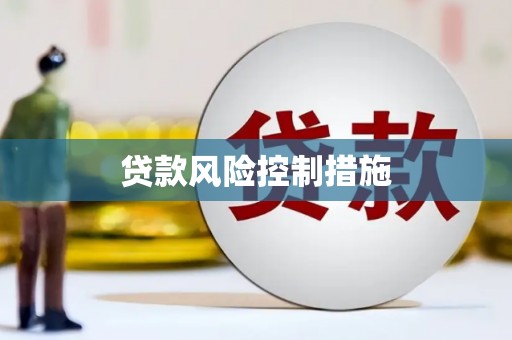 兴文贷款风险控制措施