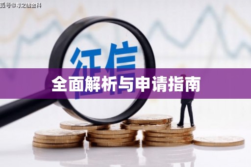 兴文全面解析与申请指南