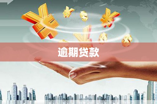 兴文逾期贷款